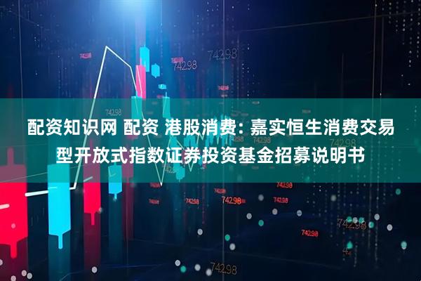配资知识网 配资 港股消费: 嘉实恒生消费交易型开放式指数证券投资基金招募说明书